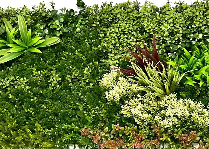 Termini Luxury 3* 罗马