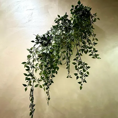 Penzion Termini Luxury