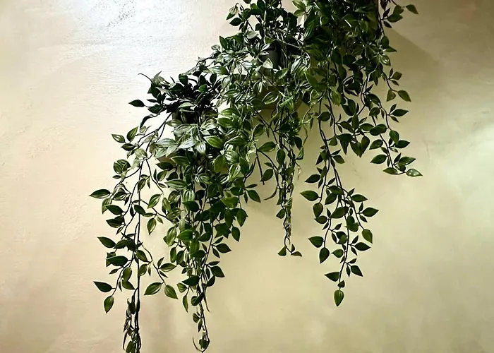 Affittacamere Termini Luxury